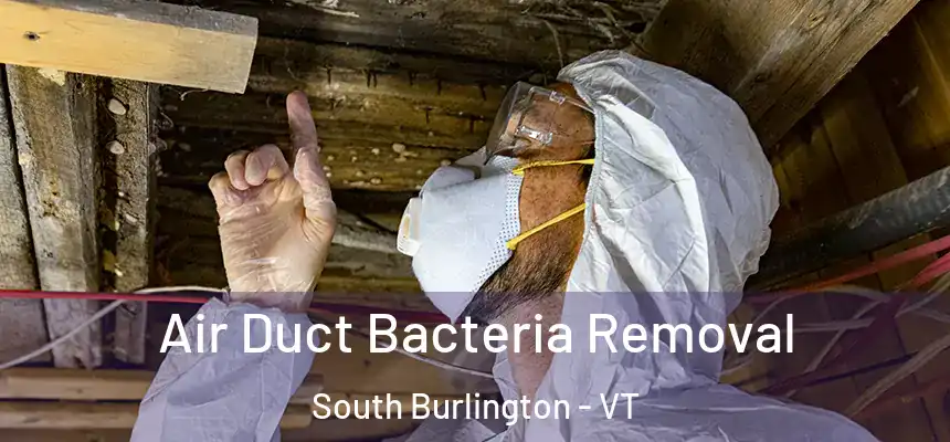 Air Duct Bacteria Removal South Burlington - VT