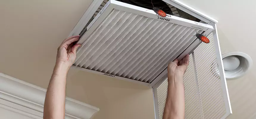 Preventive Cockroach-Proofing for Ducts in South Burlington