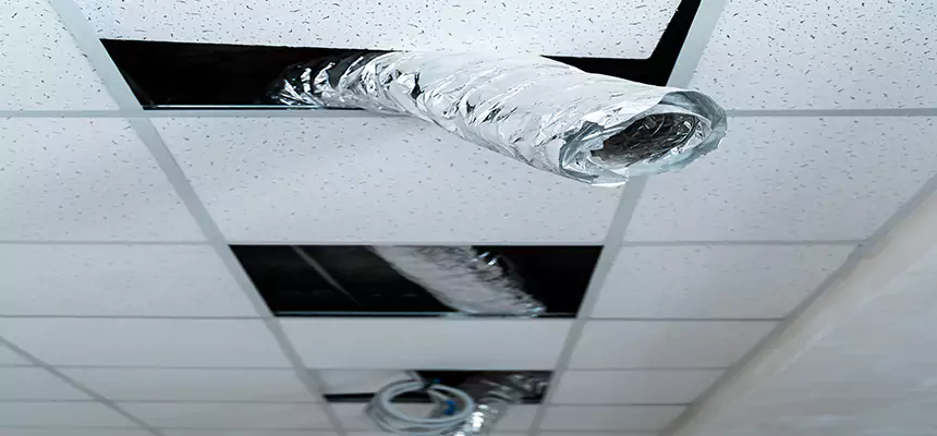 Our Air Duct Pet Hair Removal Services in South Burlington, VT