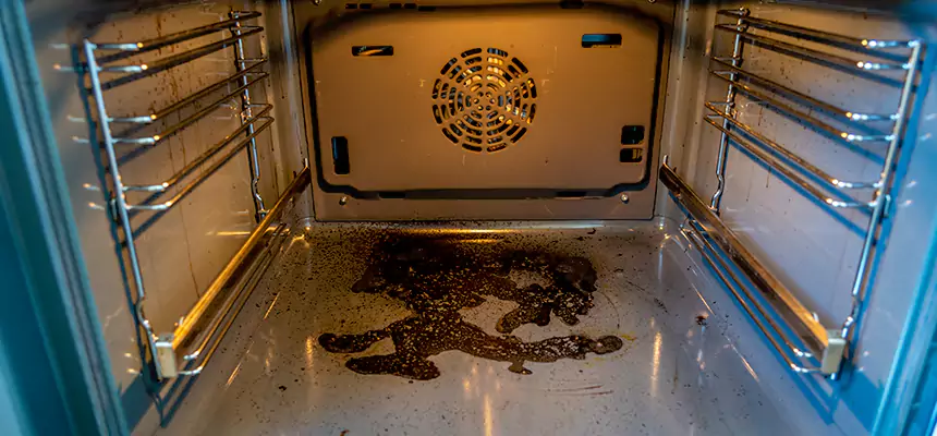 Our Dryer Vent Mold Cleaning Services in South Burlington, VT