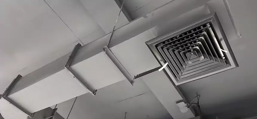 Our Pest Removal From Ducts Services in South Burlington, VT