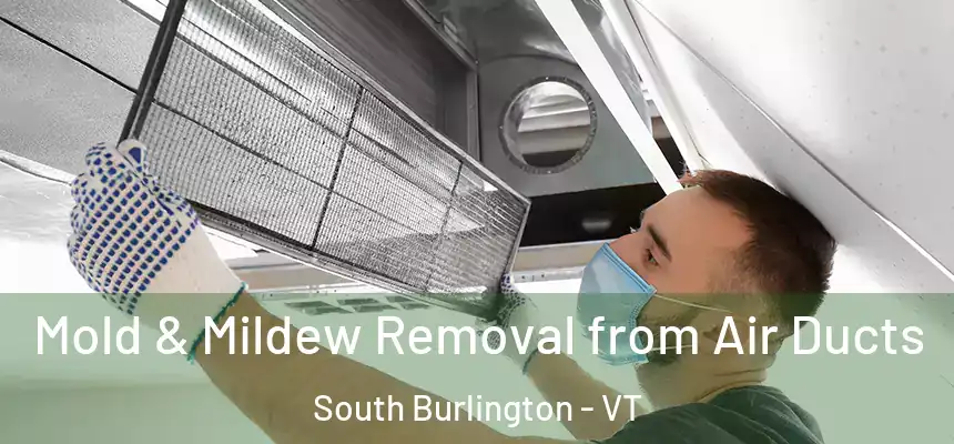  Mold & Mildew Removal from Air Ducts South Burlington - VT