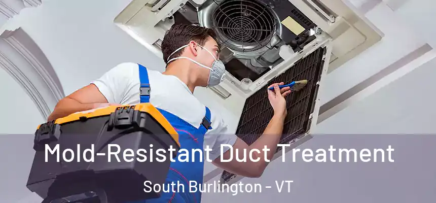 Mold-Resistant Duct Treatment South Burlington - VT