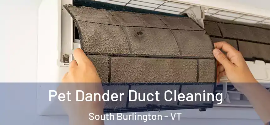  Pet Dander Duct Cleaning South Burlington - VT