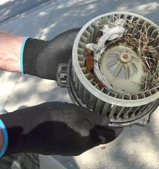 About Air Duct Mice Removal in South Burlington, VT