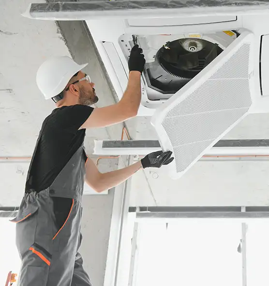 About Air Duct Rodent Removal in South Burlington, VT