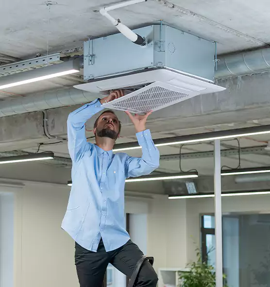 Advanced Rodent Droppings In Vents in South Burlington, VT