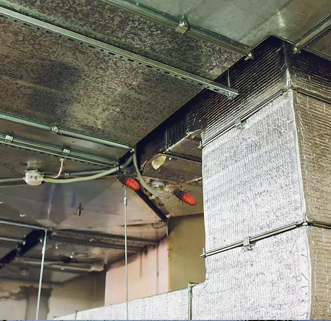 Why Homeowners & Businesses Trust Us in South Burlington, VT?