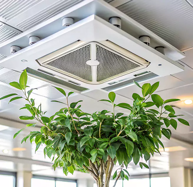 Why Homeowners & Businesses Trust Us in South Burlington, VT?